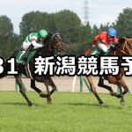 【新潟記念】2025/8/31(日) 中央競馬 穴馬予想（新潟競馬）