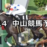 【ラジオ日本賞】2025/9/14(日) 中央競馬 穴馬予想（中山競馬）