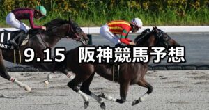 【JRAアニバーサリーステークス】2025/9/15(月) 中央競馬 穴馬予想（阪神競馬）