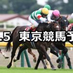 【毎日王冠】2025/10/5(日) 中央競馬 穴馬予想(東京競馬)