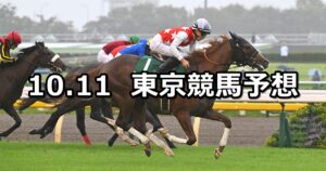 【サウジアラビアロイヤルカップ】2025/10/11(土) 中央競馬 穴馬予想（東京競馬）