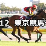 【アイルランドトロフィー】2025/10/12(日) 中央競馬 穴馬予想(東京競馬)
