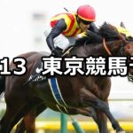 【オクトーバーステークス】2025/10/13(月) 中央競馬 穴馬予想(東京競馬)