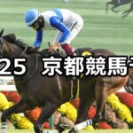 【カシオペアステークス】2025/10/25(土) 中央競馬 穴馬予想(京都競馬)