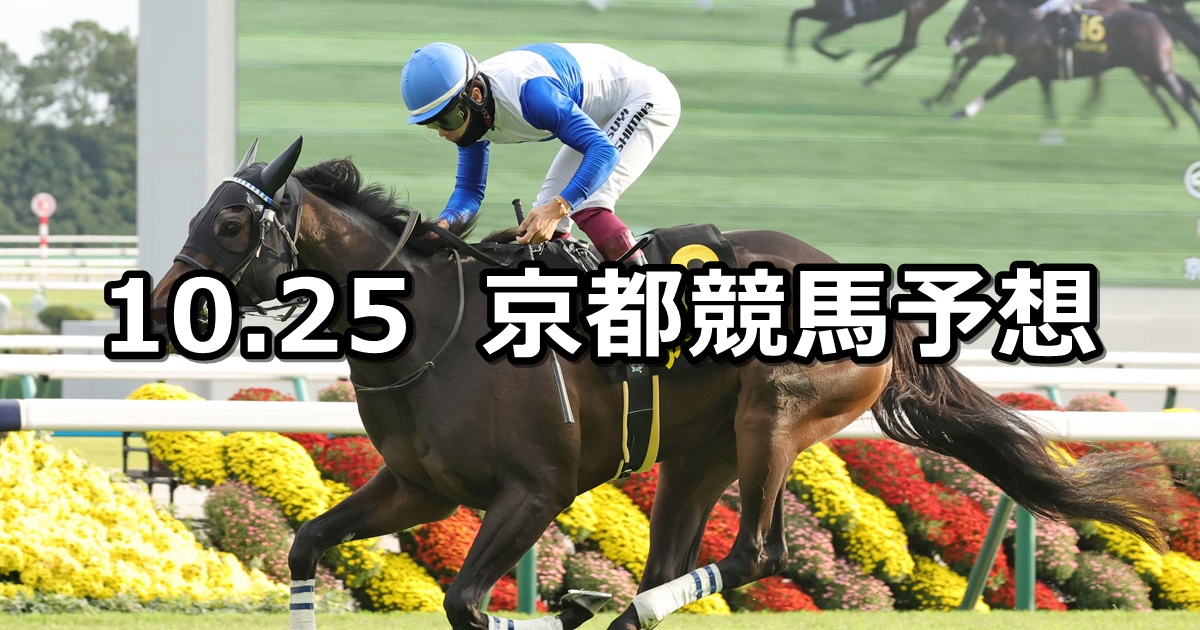 【カシオペアステークス】2025/10/25(土) 中央競馬 穴馬予想(京都競馬)
