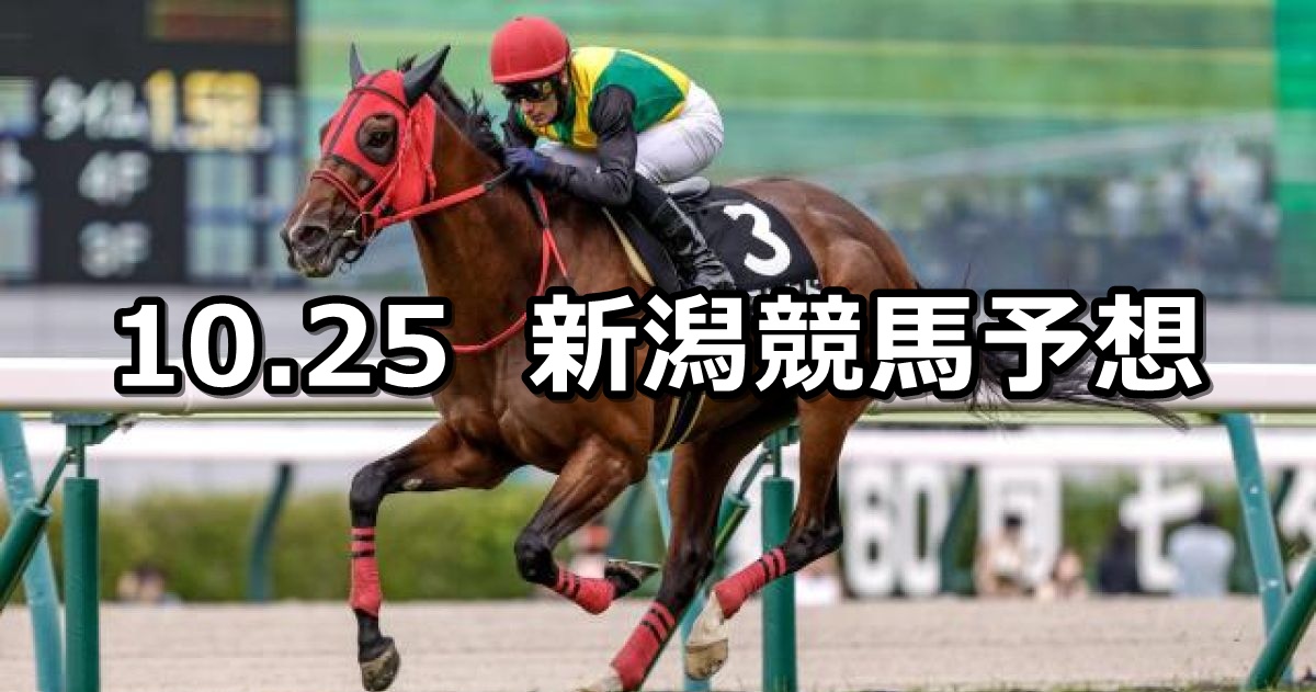 【魚沼ステークス】2025/10/25(土) 中央競馬 穴馬予想(新潟競馬)