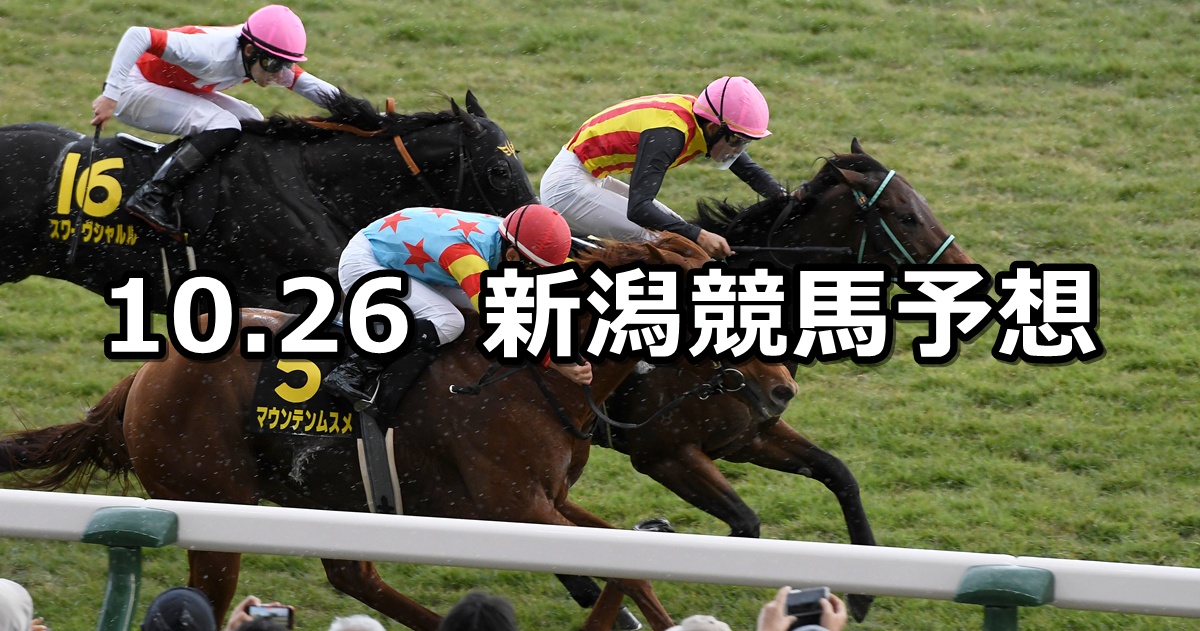 【ルミエールオータムダッシュ】2025/10/26(日) 中央競馬 穴馬予想(新潟競馬)