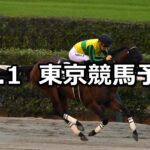 【ペルセウスステークス】2025/11/1(土) 中央競馬 穴馬予想（東京競馬）