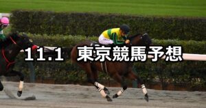 【ペルセウスステークス】2025/11/1(土) 中央競馬 穴馬予想(東京競馬)