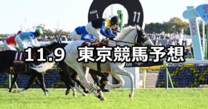 【アルゼンチン共和国杯】2025/11/9(日) 中央競馬 穴馬予想（東京競馬）
