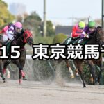 【武蔵野ステークス】2025/11/15(土) 中央競馬 穴馬予想（東京競馬）
