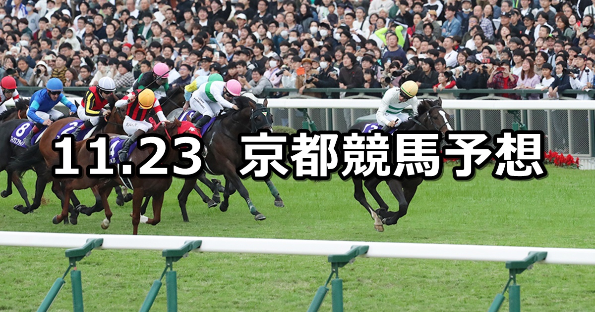 【マイルチャンピオンシップ】2025/11/23(日) 中央競馬 穴馬予想（京都競馬）