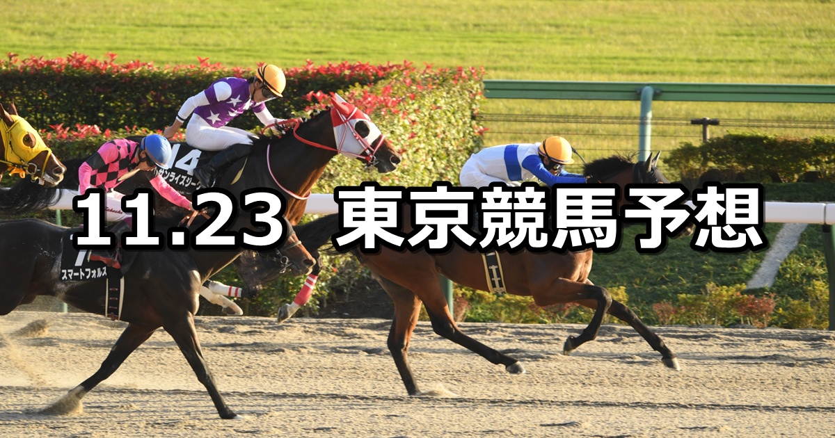 【霜月ステークス】2025/11/23(日) 中央競馬 穴馬予想（東京競馬）