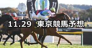【キャピタルステークス】2025/11/29(土) 中央競馬 穴馬予想（東京競馬）