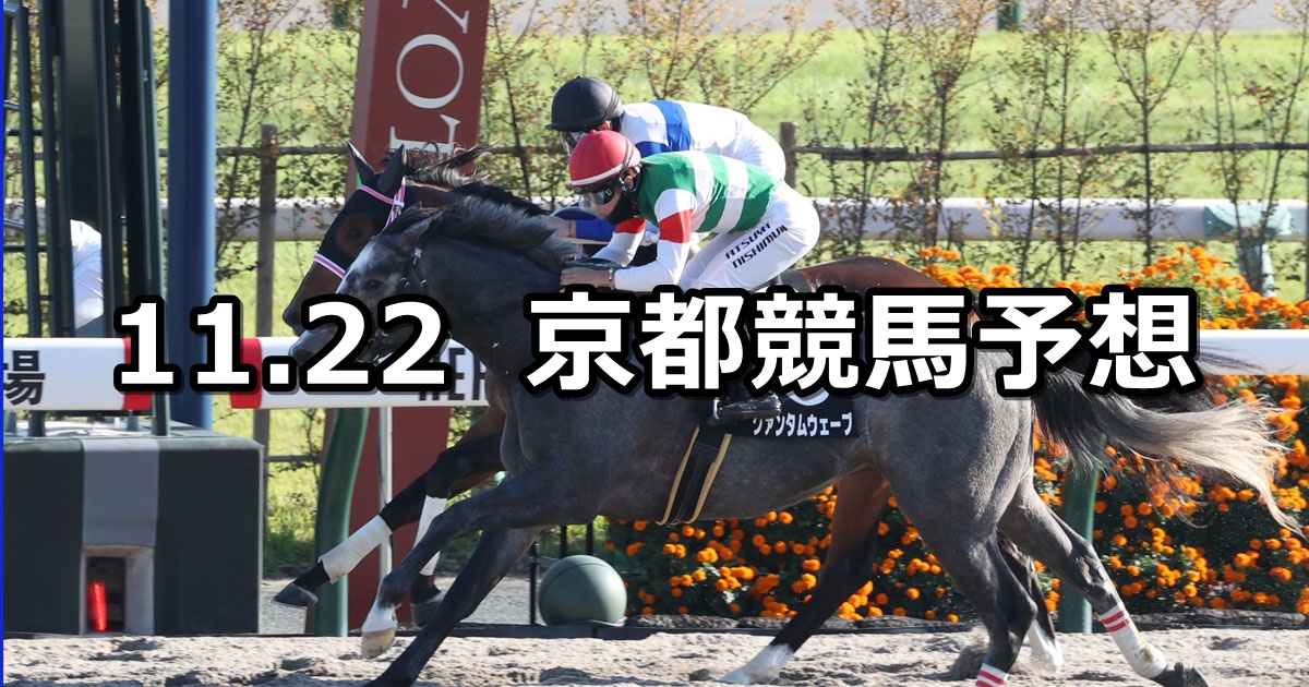 【シトリンステークス】2025/11/22(土) 中央競馬 穴馬予想（京都競馬）