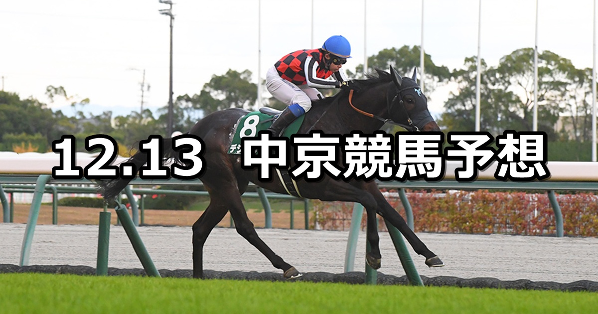【中日新聞杯】2025/12/13(土) 中央競馬 穴馬予想（中京競馬）