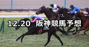 【タンザナイトステークス】2025/12/20(土) 中央競馬 穴馬予想（阪神競馬）