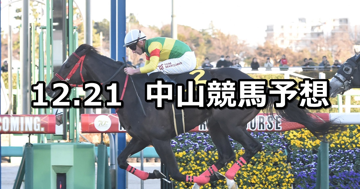 【ディセンバーステークス】2025/12/21(日) 中央競馬 穴馬予想（中山競馬）