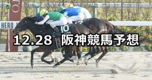 【ギャラクシーステークス】2025/12/28(日) 中央競馬 穴馬予想（阪神競馬）