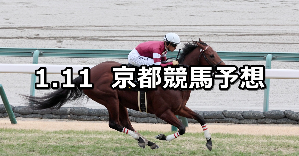 【淀短距離ステークス】2026/1/11(日) 中央競馬 穴馬予想（京都競馬）