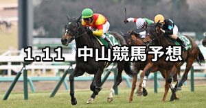 【フェアリーステークス】2026/1/11(日) 中央競馬 穴馬予想（中山競馬）