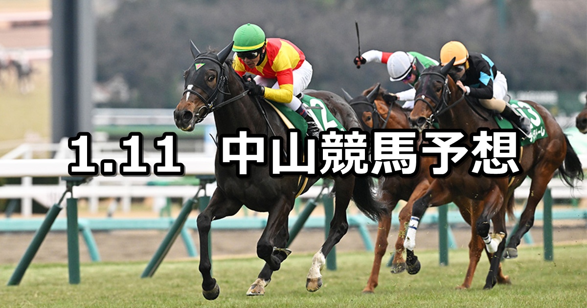 【フェアリーステークス】2026/1/11(日) 中央競馬 穴馬予想（中山競馬）