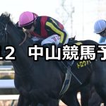 【ニューイヤーステークス】2026/1/12(月) 中央競馬 穴馬予想（中山競馬）