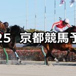 【プロキオンステークス】2026/1/25(日) 中央競馬 穴馬予想（京都競馬）