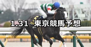 【白富士ステークス】2026/1/31(土) 中央競馬 穴馬予想（東京競馬）