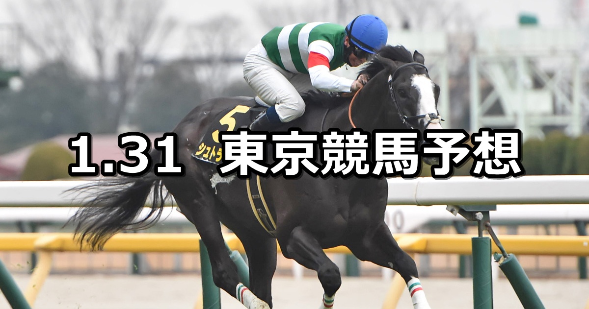 【白富士ステークス】2026/1/31(土) 中央競馬 穴馬予想（東京競馬）