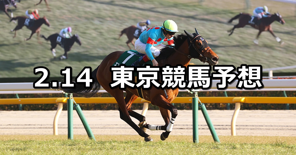 【デイリー杯クイーンカップ】2026/2/14(土) 中央競馬 穴馬予想(東京競馬)
