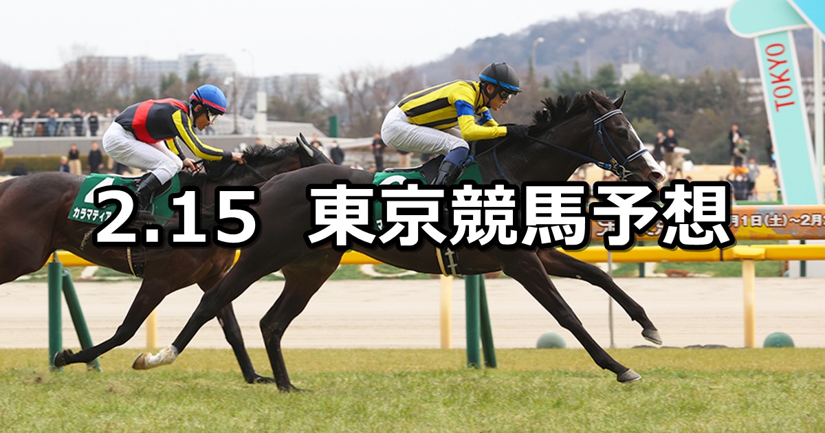【共同通信杯】2026/2/15(日) 中央競馬 穴馬予想（東京競馬）