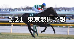 【ダイヤモンドステークス】2026/2/21(土) 中央競馬 穴馬予想(東京競馬)