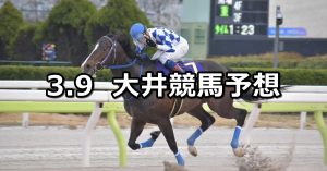 【スターバーストカップ】2026/3/9(月)地方競馬 穴馬予想（大井競馬）