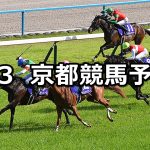 【天皇賞(春)】2026/5/3(日) 中央競馬 穴馬予想（京都競馬）