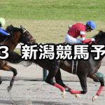 【越後ステークス】2026/5/3(日) 中央競馬 穴馬予想（新潟競馬）