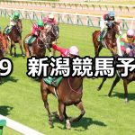 【駿風ステークス】2026/5/9(土) 中央競馬 穴馬予想（新潟競馬）