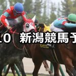 【谷川岳ステークス】2026/5/10(日) 中央競馬 穴馬予想（新潟競馬）