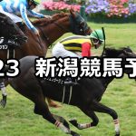 【大日岳特別】2026/5/23(土) 中央競馬 穴馬予想（新潟競馬）