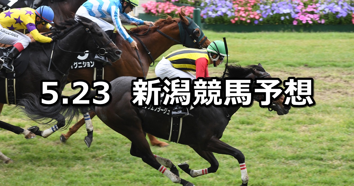 【大日岳特別】2026/5/23(土) 中央競馬 穴馬予想（新潟競馬）