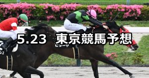【欅ステークス】2026/5/23(土) 中央競馬 穴馬予想（東京競馬）