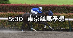 【アハルテケステークス】2026/5/30(土) 中央競馬 穴馬予想（東京競馬）