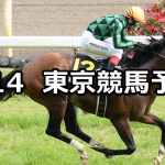 【パラダイスステークス】2026/6/14(日) 中央競馬 穴馬予想（東京競馬）